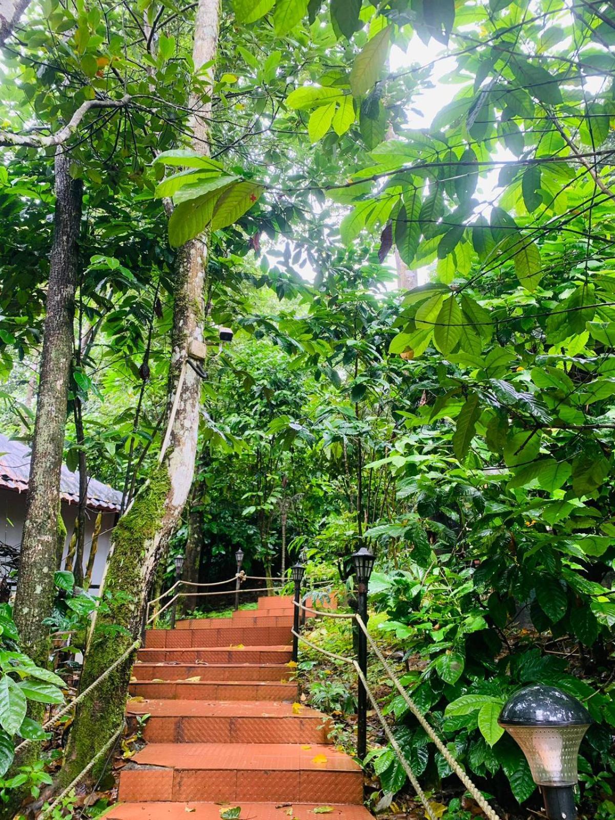 The Mountain Shades Resort Madikeri Esterno foto