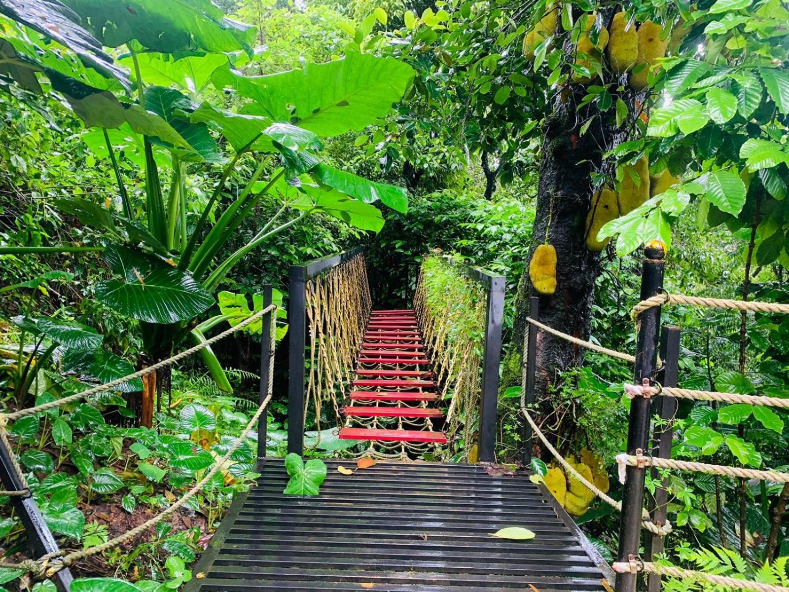 The Mountain Shades Resort Madikeri Esterno foto