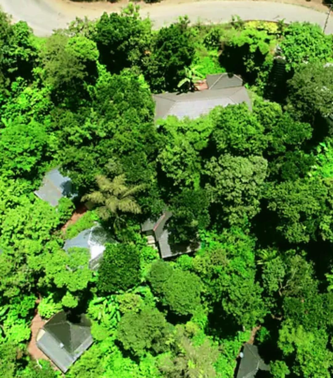 The Mountain Shades Resort Madikeri Esterno foto
